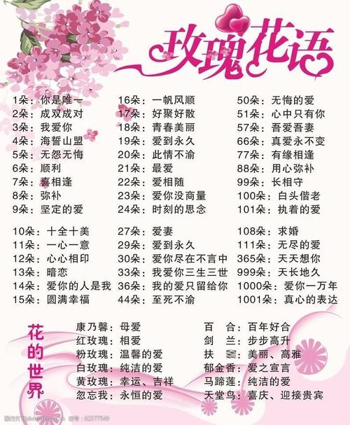 9朵鲜花什么寓意呢女生（9朵鲜花什么寓意呢女生名字）-第2张图片-花花知道网