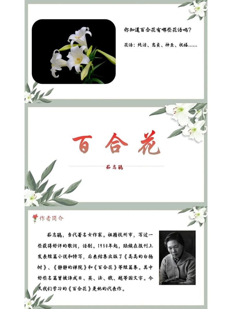 百合鲜花花语（百合花花语代表什么花语）-第5张图片-花花知道网