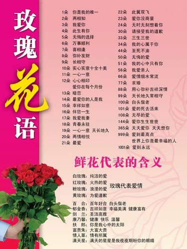 16支鲜花寓意（16朵花语是什么意思）-第2张图片-花花知道网