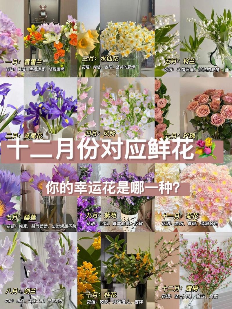 送花儿的讲究（送花儿的讲究是什么）-第6张图片-花花知道网