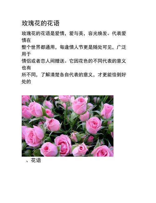 鲜花花语集锦（鲜花花语集锦图片大全）-第2张图片-花花知道网