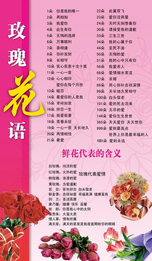 鲜花花语集锦（鲜花花语集锦图片大全）-第4张图片-花花知道网