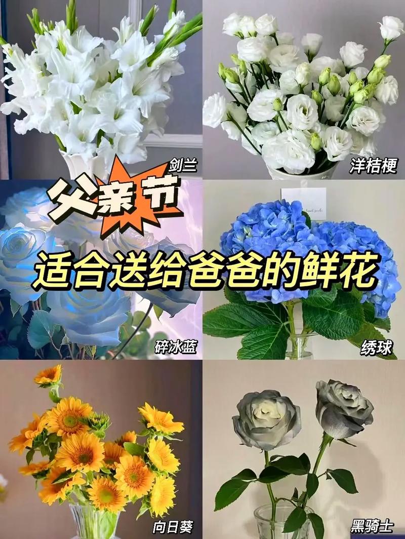 3岁宝宝送爸爸的鲜花寓意（给3岁小孩送礼物送什么好呢）-第3张图片-花花知道网