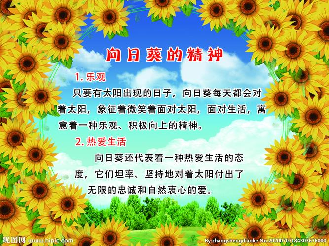 9朵鲜花什么寓意好看呢（九朵鲜花）-第3张图片-花花知道网