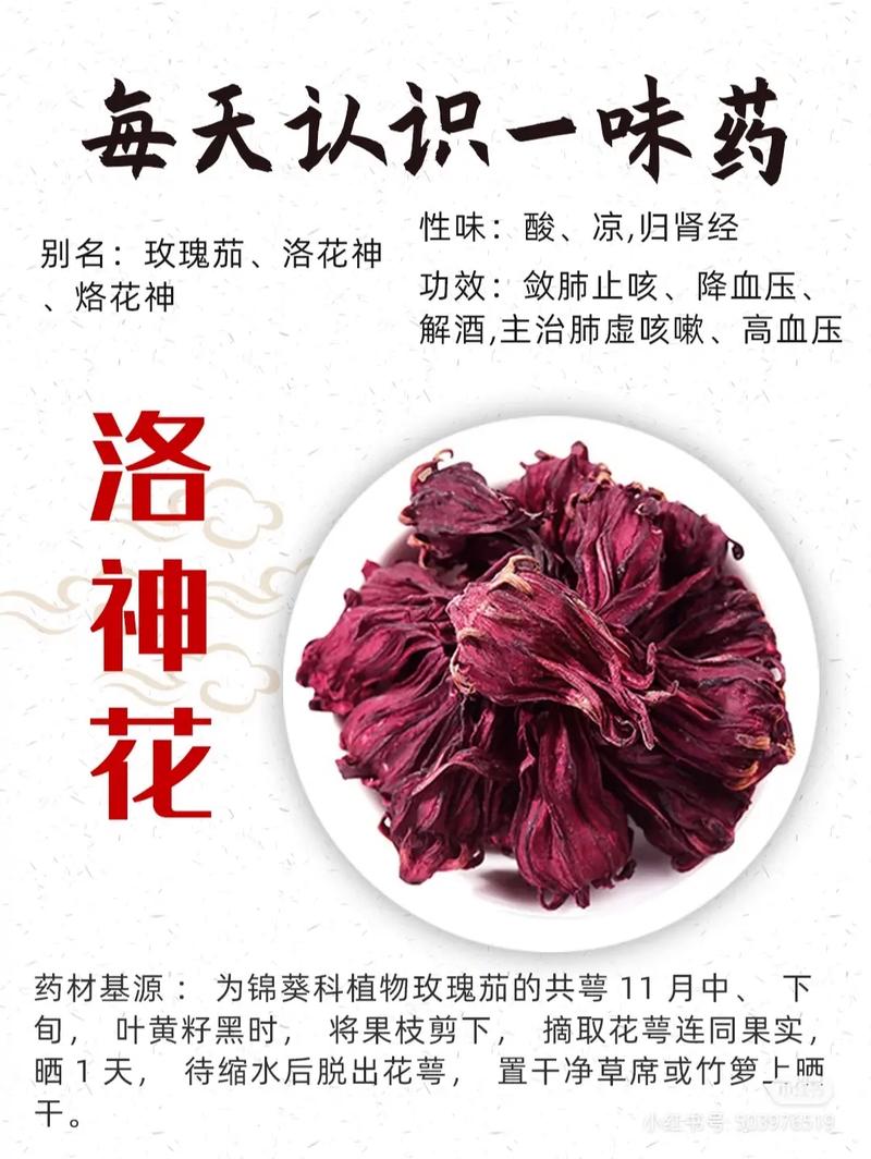 洛神鲜花花语是什么（洛神 鲜花）-第1张图片-花花知道网