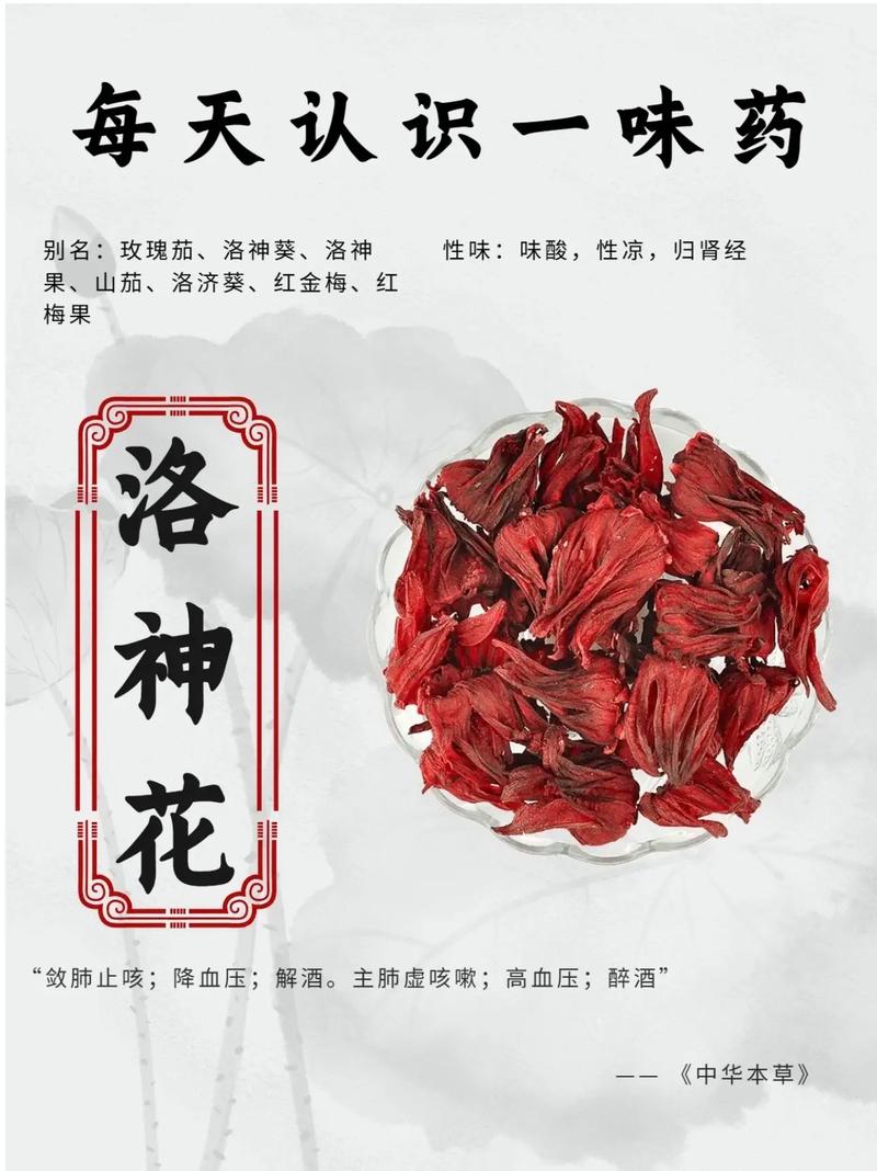 洛神鲜花花语是什么（洛神 鲜花）-第4张图片-花花知道网