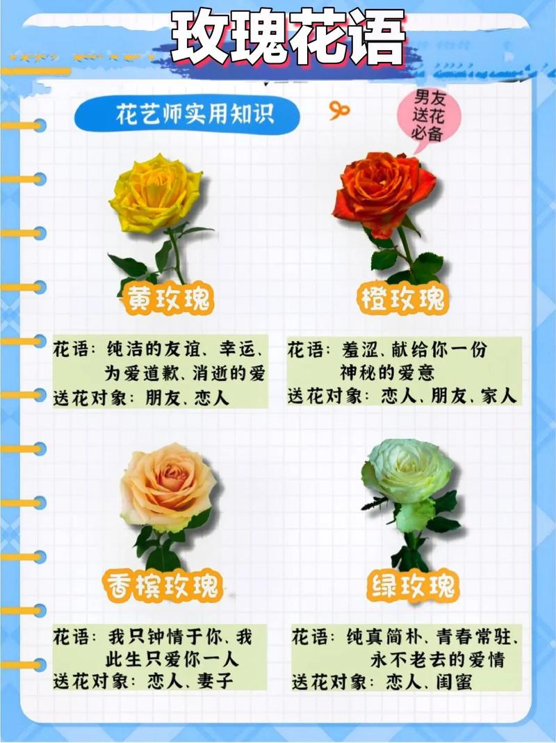 9支鲜花寓意（花语9朵）-第1张图片-花花知道网