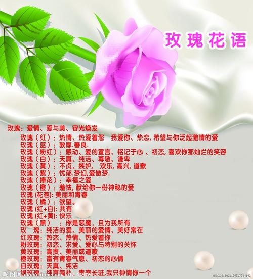 9朵情人节鲜花寓意（情人节99朵玫瑰花图片）-第2张图片-花花知道网