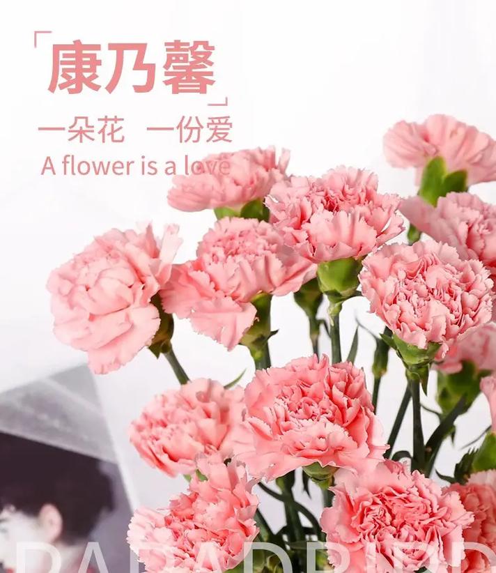 11朵圆鲜花花束寓意什么（11朵花束图片）-第7张图片-花花知道网