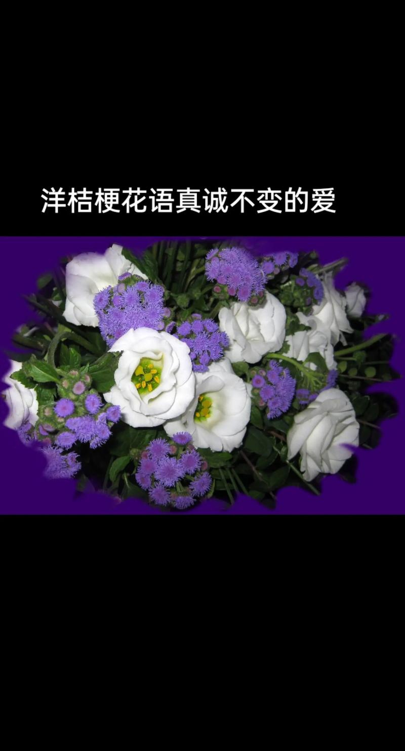 鲜花花语大全寓意爱情（一百种鲜花花语）-第2张图片-花花知道网