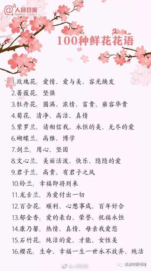 元旦鲜花花语（元旦花朵图片大全）-第1张图片-花花知道网