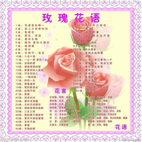 6朵红玫瑰鲜花寓意（6朵红玫瑰的含义）-第1张图片-花花知道网