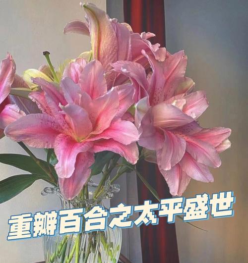 白菜鲜花花语（大白菜花语）-第4张图片-花花知道网