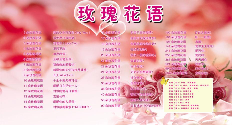 6朵玫瑰鲜花花束寓意是什么（6朵玫瑰代表什么意思玫瑰花）-第1张图片-花花知道网