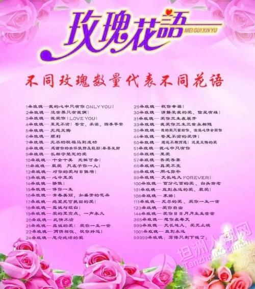 6朵玫瑰鲜花花束寓意是什么（6朵玫瑰代表什么意思玫瑰花）-第5张图片-花花知道网