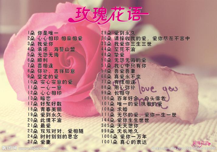 19朵红玫瑰鲜花花语寓意（19朵红玫瑰图片）-第3张图片-花花知道网