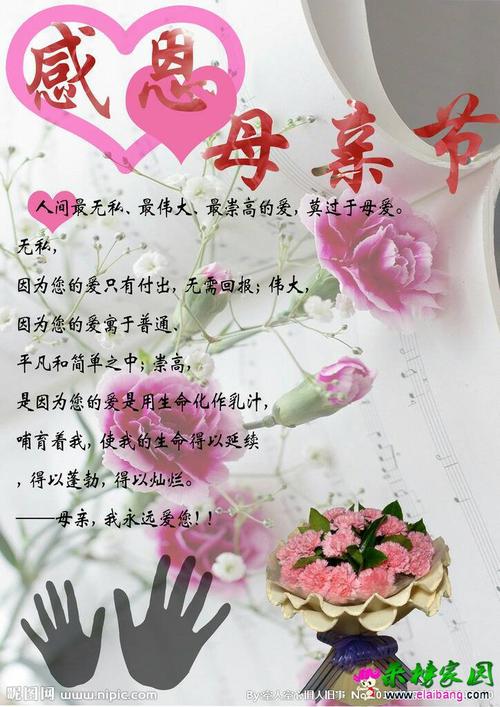 母亲鲜花花语（母亲节鲜花寓意）-第2张图片-花花知道网