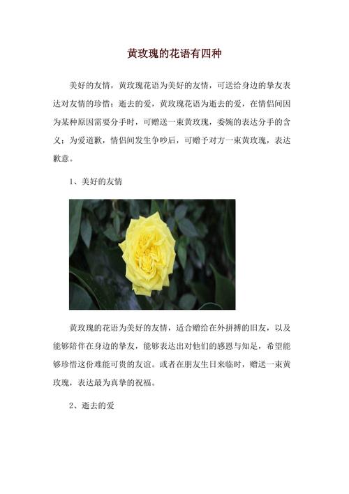 鲜花花语和品种的区别是什么（鲜花品种及花语）-第2张图片-花花知道网