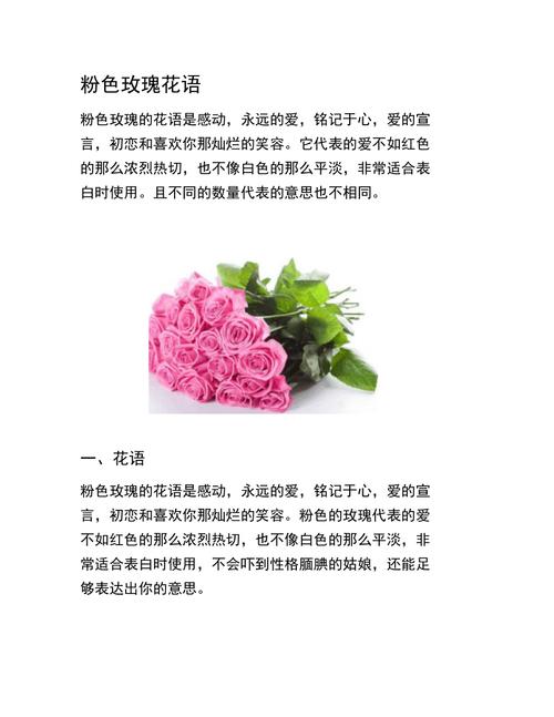 16朵鲜花的寓意（16朵鲜花什么意思?）-第2张图片-花花知道网