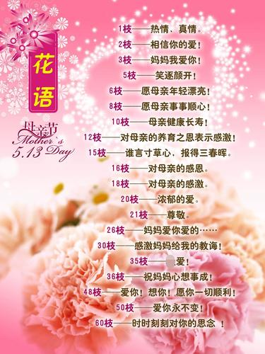 3朵鲜花康乃馨花束寓意（三朵康乃馨一朵玫瑰代表什么意思）-第4张图片-花花知道网