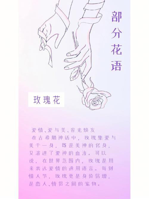 俄罗斯送花的讲究（俄罗斯送花的讲究是什么）-第2张图片-花花知道网