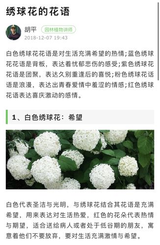 圆形礼盒鲜花花语大全集（圆形礼盒包装展开图）-第5张图片-花花知道网