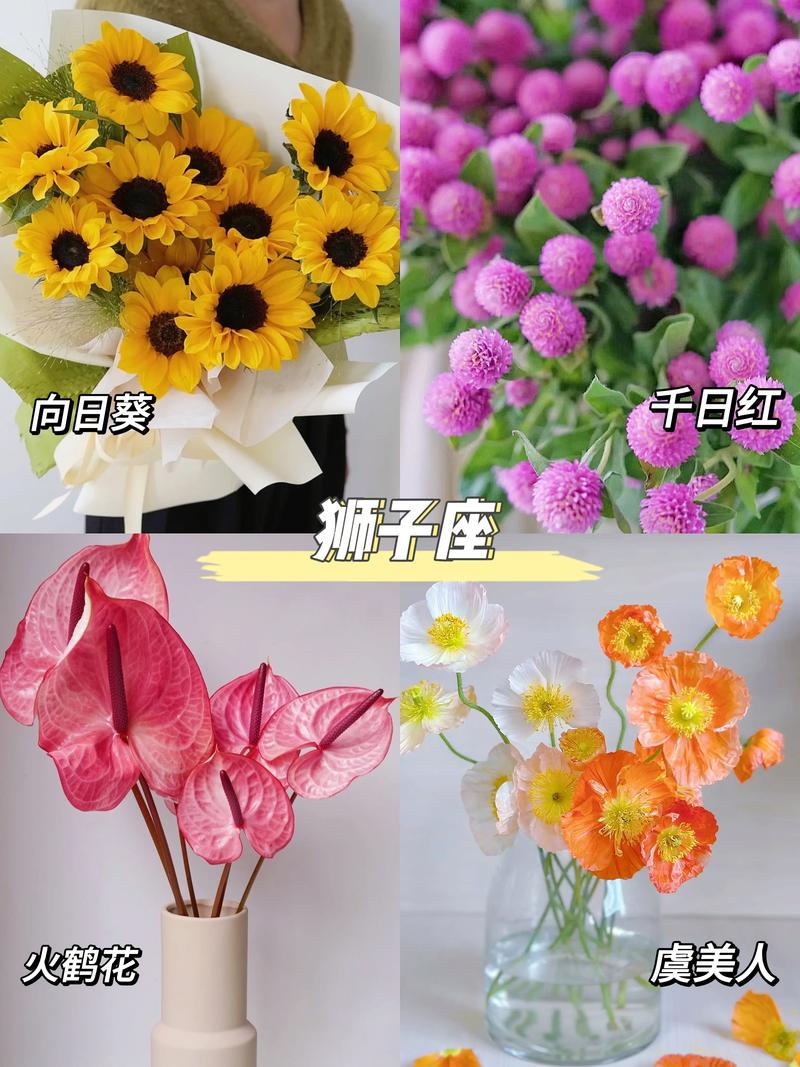 9朵鲜花的寓意是什么（九朵花代表啥）-第6张图片-花花知道网