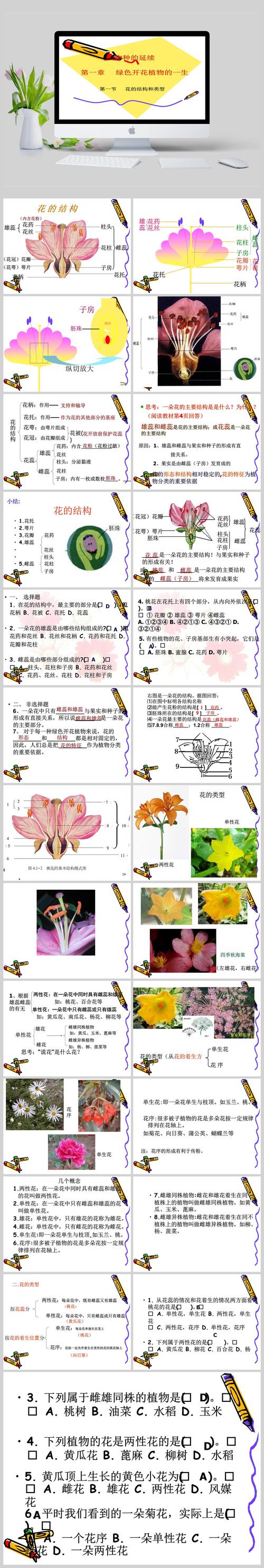 33朵仙女鲜花花束寓意（33朵花束图片）-第7张图片-花花知道网