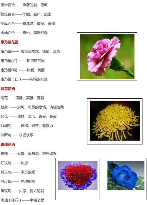 鲜花花束花语（鲜花花束的种类）-第1张图片-花花知道网