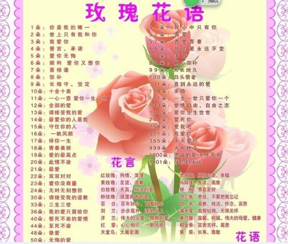 8朵鲜花的寓意是什么（8朵花的图片）-第2张图片-花花知道网