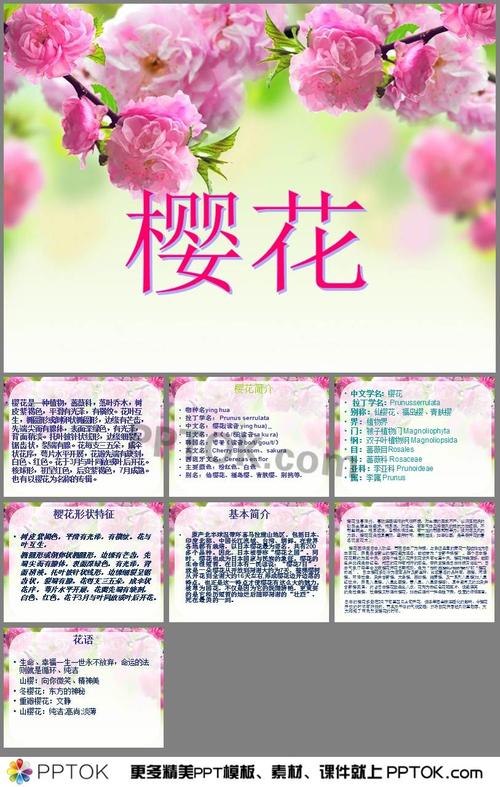 援助医疗队鲜花花语（欢送支援武汉医疗队标语）-第2张图片-花花知道网