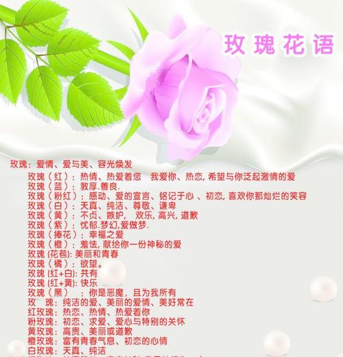 3朵鲜花花花束寓意着什么（3朵鲜花花花束寓意着什么呢）-第5张图片-花花知道网