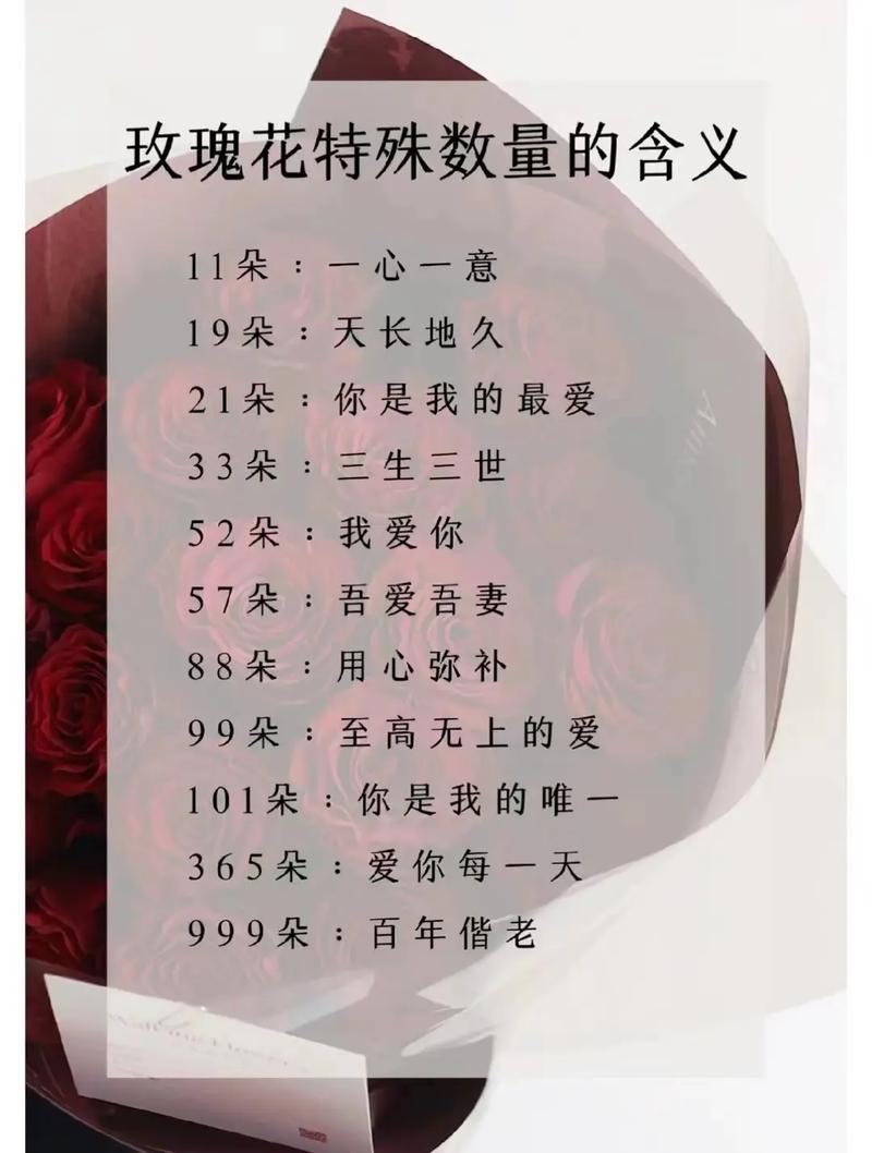 21朵鲜花多少朵的寓意（21朵花图片）-第4张图片-花花知道网