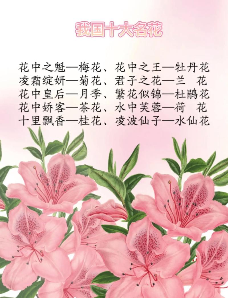 送宝宝鲜花花束的寓意和花语（送给宝宝的花束）-第1张图片-花花知道网