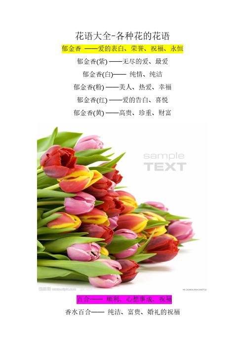 郁金香和百合鲜花花语（郁金香跟百合放在一起是什么意思）-第2张图片-花花知道网