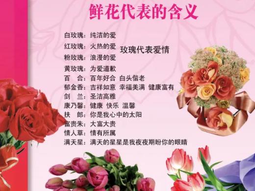 11朵圆鲜花花束寓意（11朵花语是什么意思）-第4张图片-花花知道网