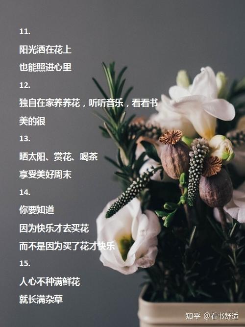 鲜花花语经典句子（鲜花花语经典句子图片）-第5张图片-花花知道网