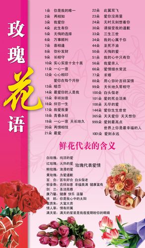 14朵鲜花寓意（14朵玫瑰花表示什么意思）-第4张图片-花花知道网