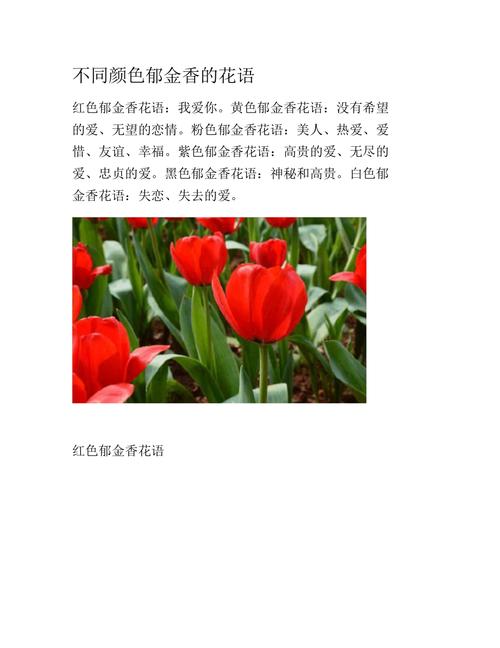 郁金香和百合鲜花花语区别（郁金香跟百合放在一起是什么意思）-第3张图片-花花知道网