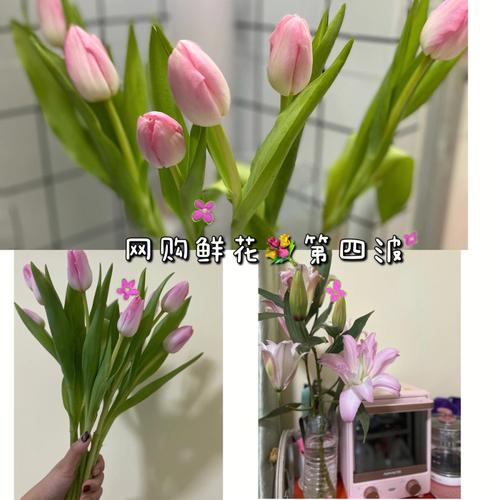 郁金香和百合鲜花花语区别（郁金香跟百合放在一起是什么意思）-第4张图片-花花知道网