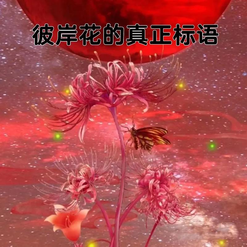 鲜花花语花影（各种常见鲜花花语）-第4张图片-花花知道网