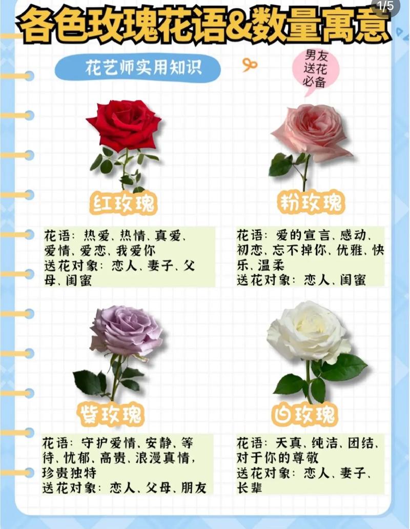 52朵绿玫瑰鲜花花语及寓意（52朵绿玫瑰鲜花花语及寓意是什么）-第1张图片-花花知道网