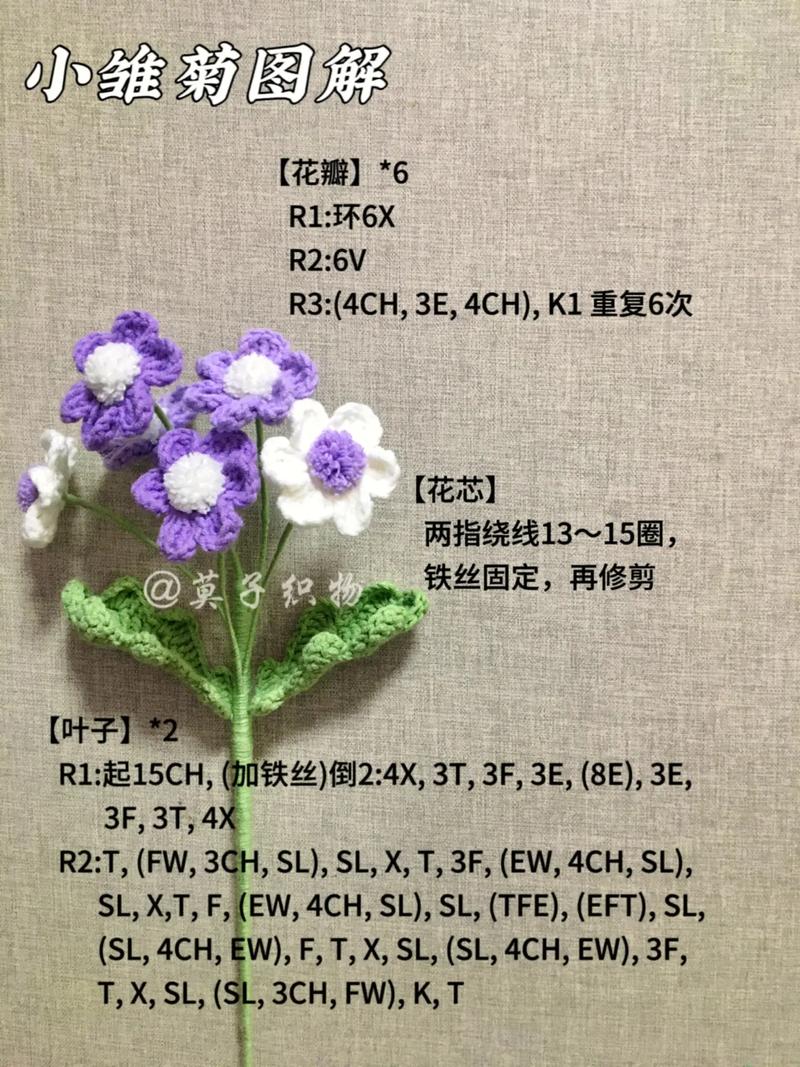 黄色小雏菊鲜花花语（黄色的雏菊代表什么意思）-第3张图片-花花知道网