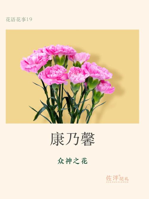 鲜花花束19朵花语和寓意（鲜花19朵代表的含义）-第4张图片-花花知道网