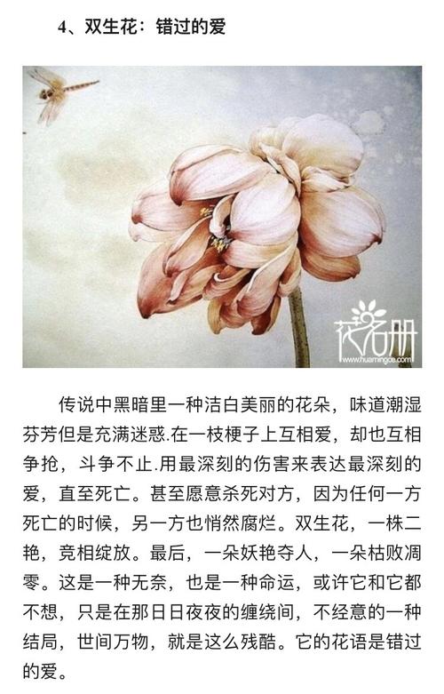 代表错过遗憾的鲜花花语（表达错过的遗憾的id）-第4张图片-花花知道网