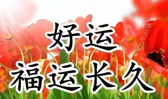 99鲜花的寓意（花语99朵代表什么意思）-第2张图片-花花知道网