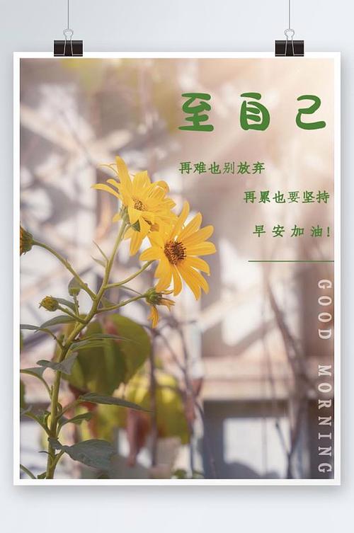 正能量鲜花花语（正能量鲜花花语是什么）-第2张图片-花花知道网