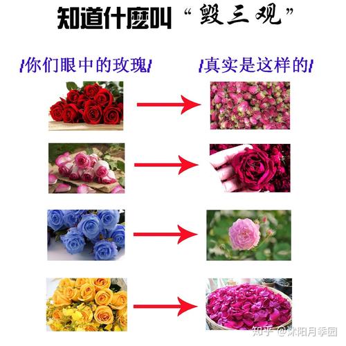 送花颜色的深浅有讲究吗（花送什么颜色）-第6张图片-花花知道网