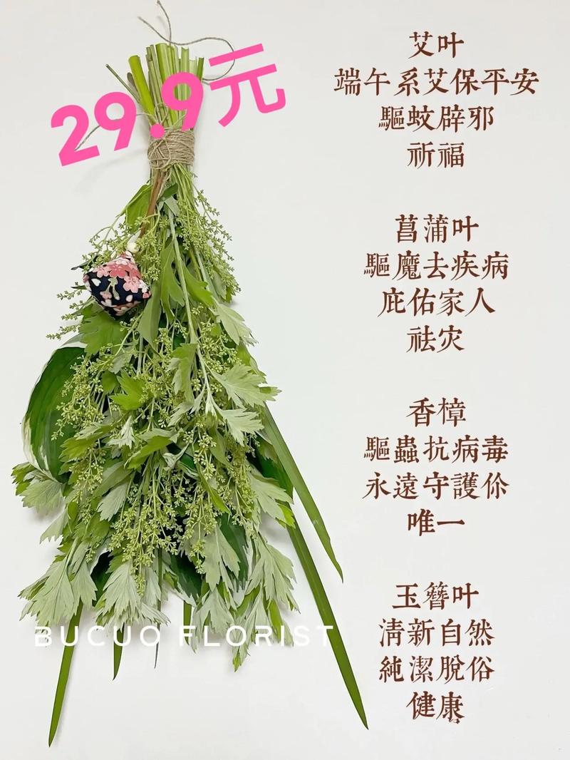 鲜花花绳花语（12123交罚款交重复了怎么办）-第6张图片-花花知道网