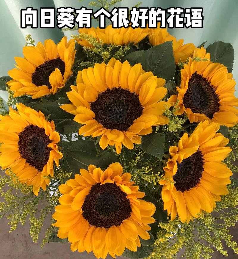 5朵向日葵鲜花花束寓意（5朵向日葵鲜花花束寓意）-第4张图片-花花知道网